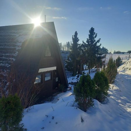 Haus Am See Willingen Willingen  Exterior photo