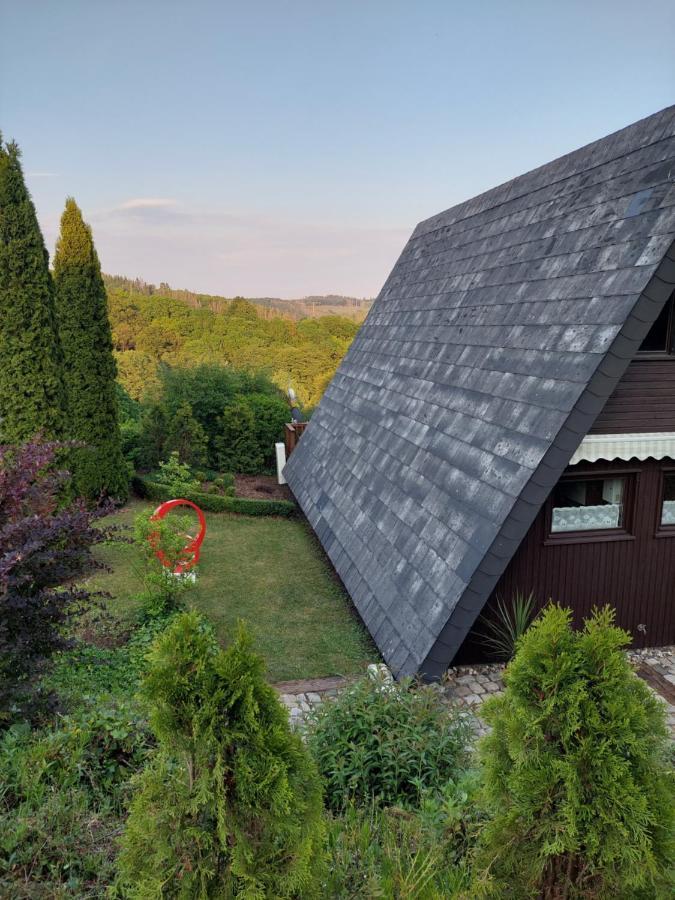 Haus Am See Willingen Willingen  Exterior photo